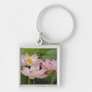 Llavero Flor de Lotus, Nelumbo nucifera, China 2