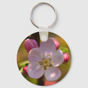 Llavero Flor de manzano en primavera