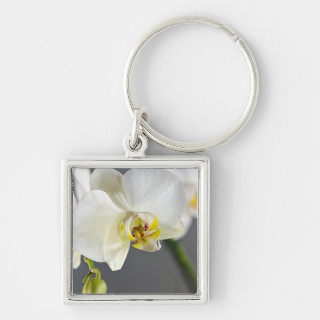 Llavero Flor de orquídea blanca (Frente)