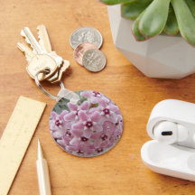 Flor de plantas de Hoya Rosa