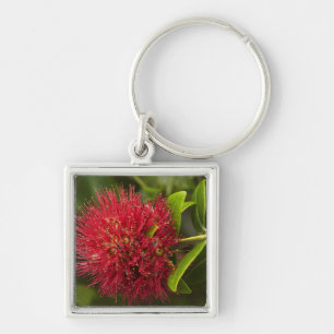 Llavero Flor de Pohutukawa, Dunedin