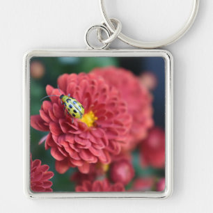 Llavero Flor Roja Naturaleza Fotografiar escarabajo Bug de