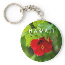 Flor tropical de Hibiscus Hawai