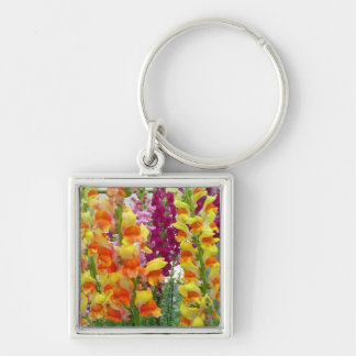 Llavero Floral colorida de Snapdragons