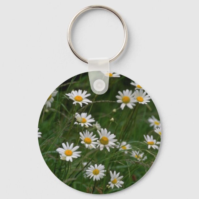 Llavero flores blancas de margarita de Oxeye (Anverso)