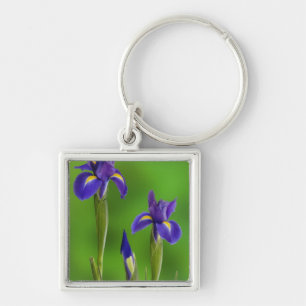 Llavero Flores de Iris