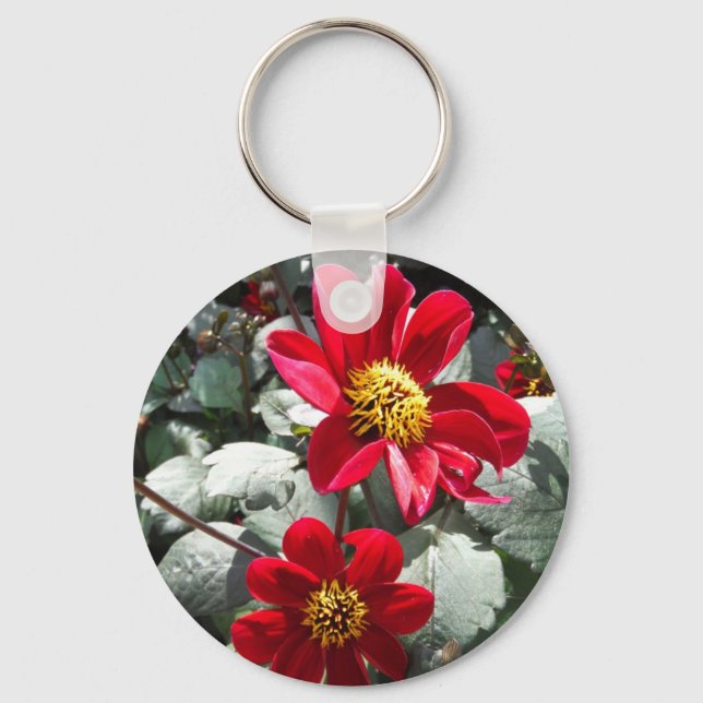 Llavero flores de margarita rosada roja / margarita (Anverso)