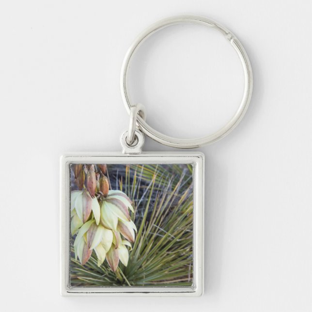 Llavero Flores de Yucca en el alto Missouri (Frente)