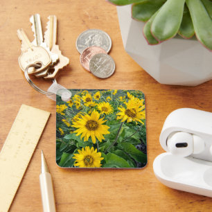 Llavero Flores   Río Columbia Balsomroot, Oregón