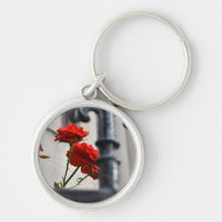Flores rojas en hierro forjado en Nueva York Fotog