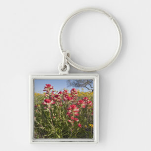 Llavero Flores silvestres al borde de la carretera en Texa