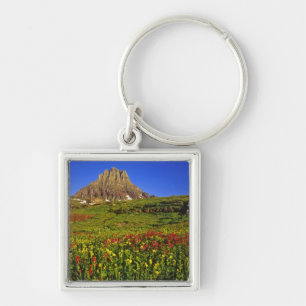 Llavero Flores silvestres alpinas en Logan Pass en Glacier