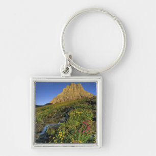 Llavero Flores silvestres alpinas y Mt Clements en Logan P