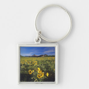Llavero Flores silvestres de balsomroot de hoja de flecha