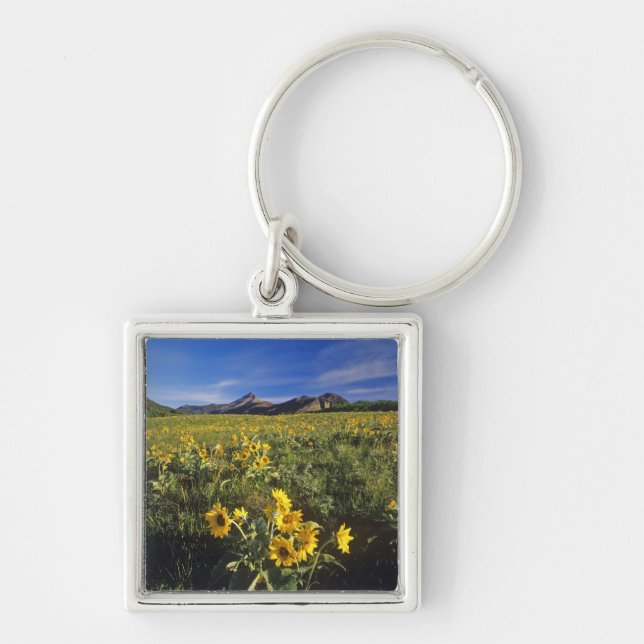Llavero Flores silvestres de balsomroot de hoja de flecha  (Frente)