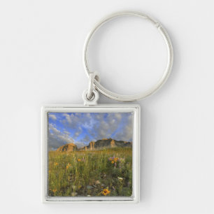 Llavero Flores silvestres de la pradera en Windy Creek en