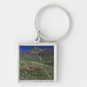 Llavero Flores silvestres, floreciendo, Alpes, Suiza