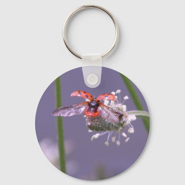 Llavero Fly away home (Anverso)