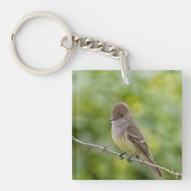 Llavero Flycatcher (Frente)