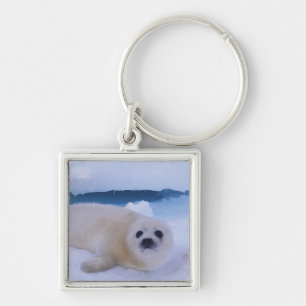 Llavero Foca de Groenlandia Norteamérica, Canadá, Quebec