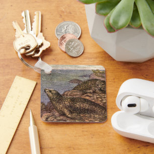 Llavero Focas, Animales Marinos Vida Marina Antigüedad