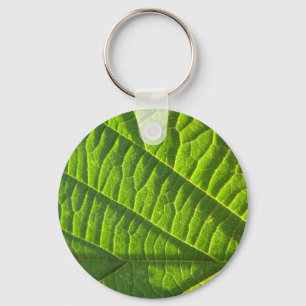 Llavero Folleto verde de Guay