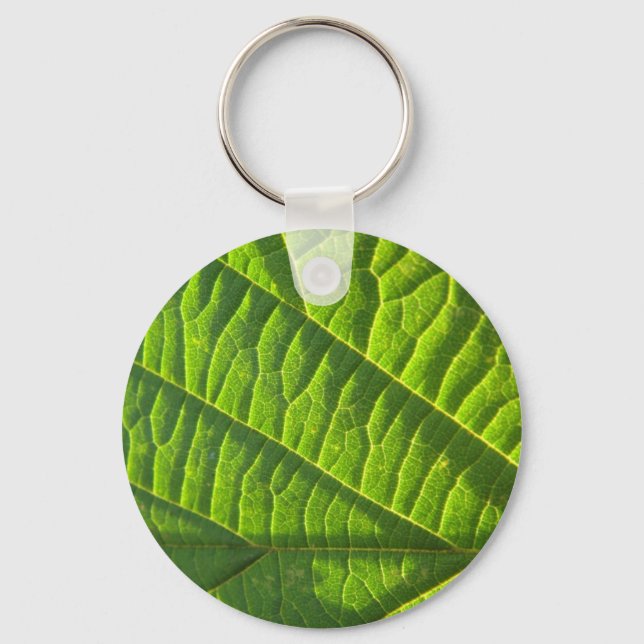 Llavero Folleto verde de Guay (Anverso)