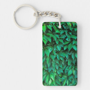 Llavero fondo de seto verde parthenocissus patrón texto