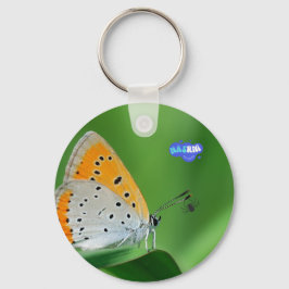 Llavero Fondo verde y mariposa amarilla y blanca y araña