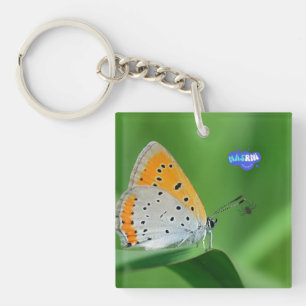 Llavero Fondo verde y mariposa amarilla y blanca y araña