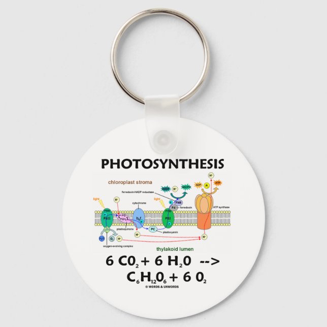 Llavero Fórmula de fotosíntesis (química) (Anverso)