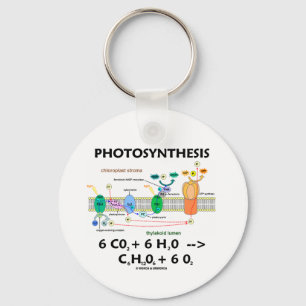 Llavero Fórmula de la fotosíntesis (sustancia química)