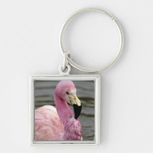 Llavero Foto cautiva de un flamenco andino