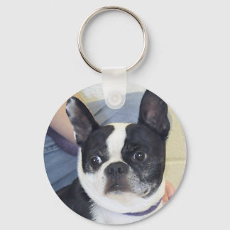 Llavero Foto de Boston Terrier