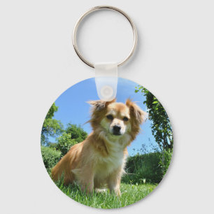 Llavero Foto de cachorro lindo en el jardín