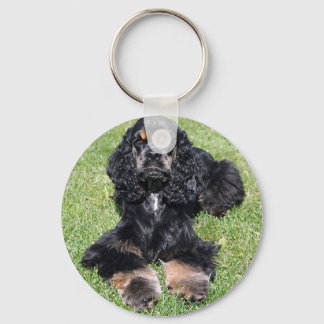 Llavero Foto de Cocker Spaniel