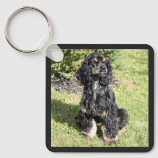 Llavero Foto de Cocker Spaniel