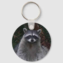 Llavero Foto de Cute Forest Raccoon