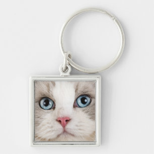 Llavero Foto de gato