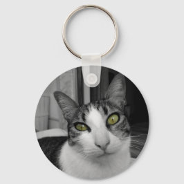 Llavero Foto de gato blanco negro