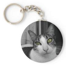 Foto de gato blanco negro