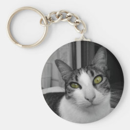 Llavero Foto de gato blanco negro