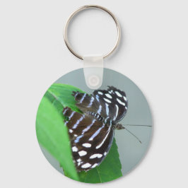 Llavero Foto de mariposa de onda azul