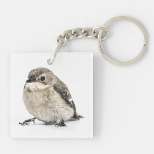 Llavero Foto de pequeño pájaro marrón de jardín