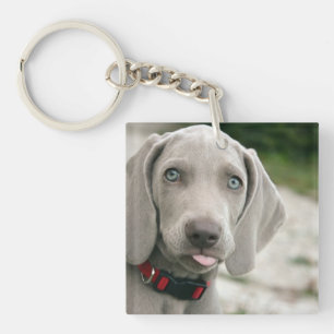 Llavero Foto de perro divertido sacando la lengua