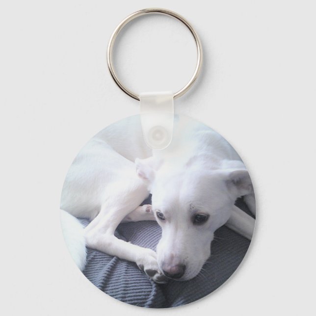 Llavero Foto de una hermosa mezcla de Labrador Blanco (Anverso)