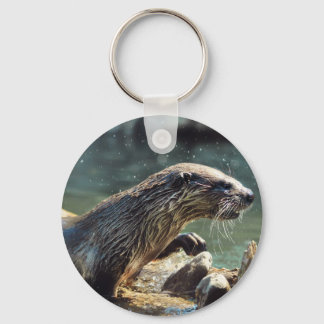 Llavero Foto de vida silvestre de River Otter