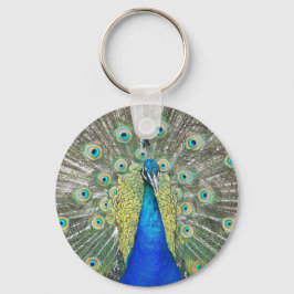 Llavero Foto del plumaje de plumas de pavo real azul