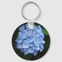 Foto floral de Hydrangea azul de bonito