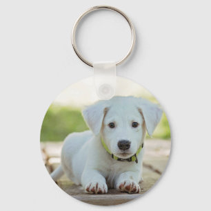 Llavero Foto Mascota personalizada